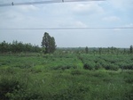 34438IMG_5421.JPG
