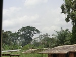 49257CIMG5594.JPG