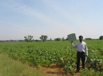 9325gt041a-rainfed-mixed-crops.gif