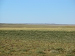 37866CIMG1673.JPG
