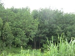 34828CIMG1488.JPG