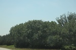 2024-06-17_22-14-41_8AF14DDB-9BCF-430D-BABF-1C7746DADD76.jpeg