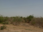 19087P1000932.JPG
