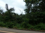 20000P1010850.JPG
