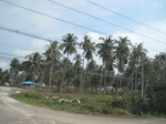 27855IMG_4819.JPG