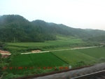 39017CIMG1591.gps.jpg