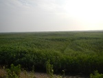 54294DSCN1567.JPG