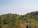 9317gt037b-wasteland-shrubland.gif