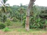 31692CIMG1560.JPG