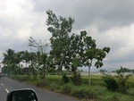 31196CIMG1058.JPG