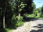 13989IMG_4299.JPG