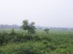 1159R0015029_small.jpg