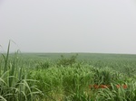 33069CIMG2304.JPG