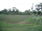 33274IMG_5604.JPG