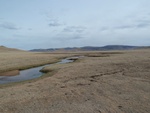 24415P1010910.JPG
