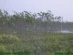 1288R0015093_tag.jpg
