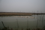 4535IMG_8942.JPG