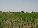 19028P1000873.JPG