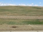 36425CIMG0194.JPG