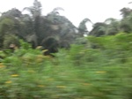 49900CIMG6237.JPG