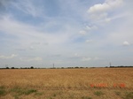 29467CIMG0765.JPG