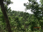 53430CIMG6754.JPG