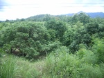 33630RIMG0295.JPG