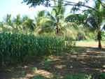 9207DSC03278.JPG