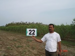 12819022a-rainfed-plantation-mixed-tobacco.gif