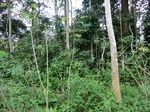 46429CIMG0718.JPG
