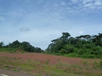 20111P1010962.JPG