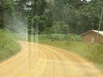 47923CIMG4260.JPG