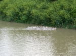 51738CIMG0779.JPG