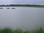 34571RIMG0037.JPG