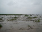 54407DSCN1687.JPG