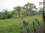 30019IMG_5364.JPG