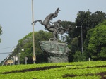 14955IMG_5349.JPG