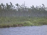 4632007-08-05_09-35-36_small.jpg