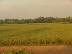 21959DSC00213.JPG