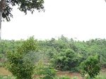 16346IMG_5127.JPG