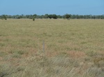 42496P1000295.jpg
