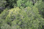 2024-10-10_17-18-12_972D3628-621B-4464-8D08-FBFE05027F76.jpeg