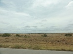36049DSC02769.JPG