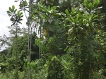 49621CIMG5958.JPG