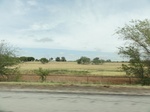 35871DSC02639.JPG