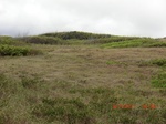 36159CIMG3208.JPG