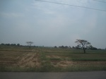 28288IMG_5068.JPG