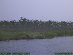 1276R0015087_tag.jpg