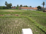 15448IMG_4324.JPG