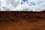 28611P1010628-1.JPG